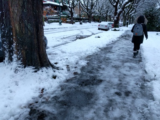 seniors at risk of falling on ice