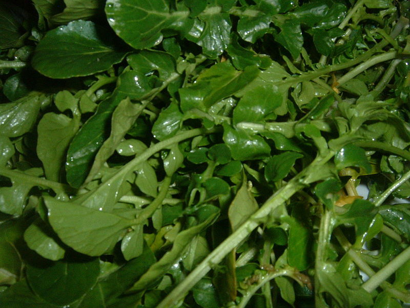 watercress leafy greens