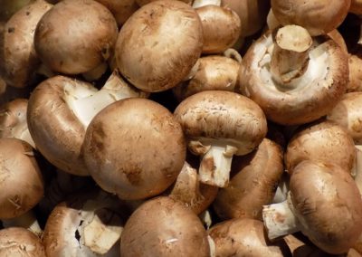 mushrooms that help with immunity