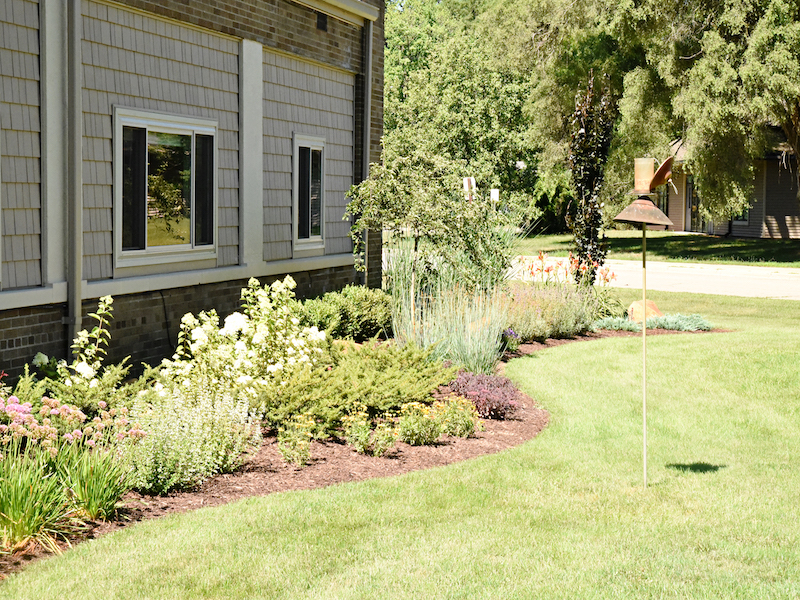 outdoor plants and landscaping