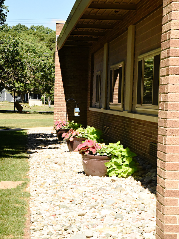 exterior landscaping and windows