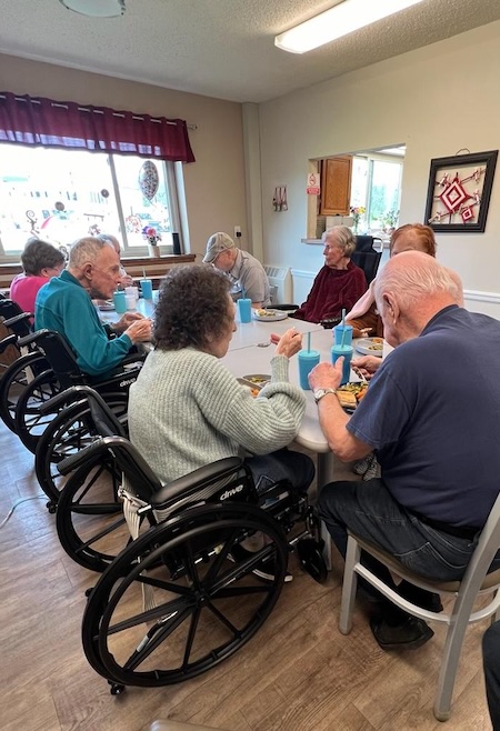 parkinsons care home in white lake mi respite caregiver with elderly woman